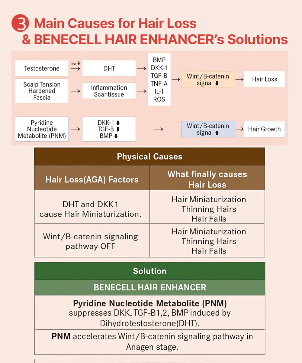 HOME CARE STIMULATOR FOR SCALP AND HAIR BENECELL Hair Enhancer Solution